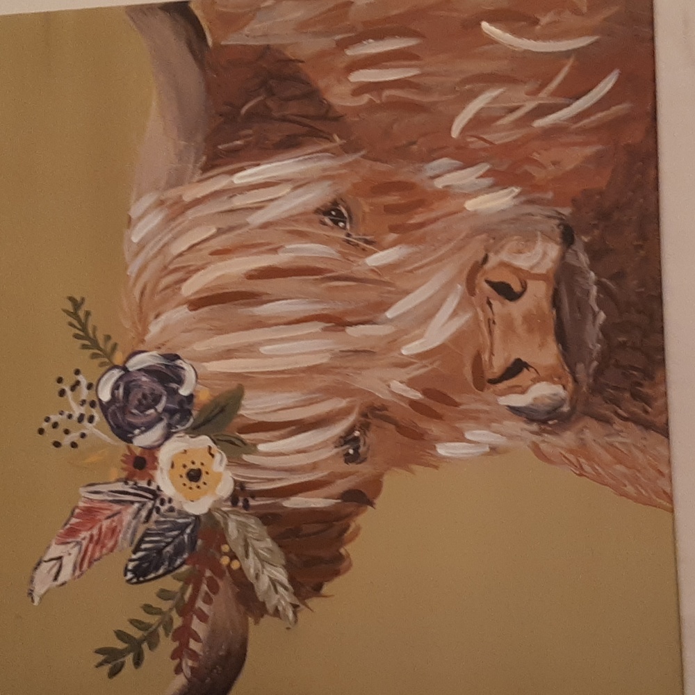 Cow Picture